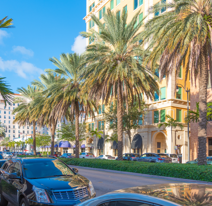 Palm-lined Coral Gables street